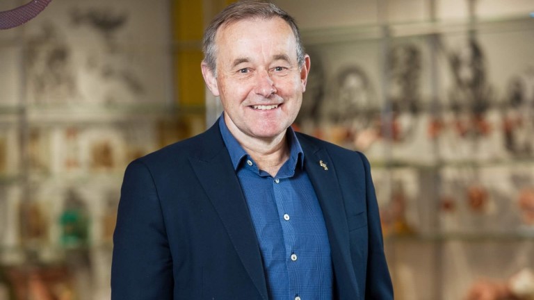 Prof Julian Paton poses with anatomical heart models