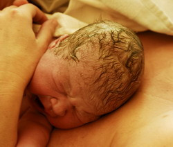 Photograph of a newborn baby's head, lying on its mother's chest